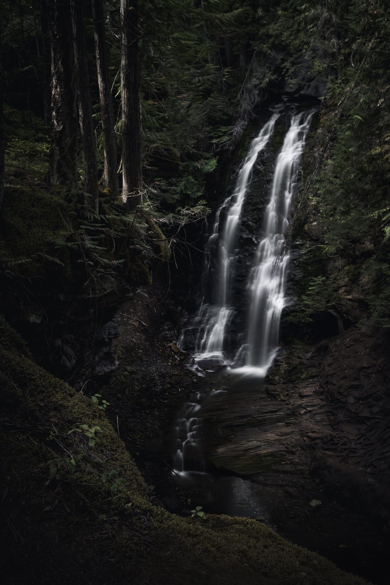 A slender waterfall splitting into two white strands down a dark, mossy rock face in the forest.