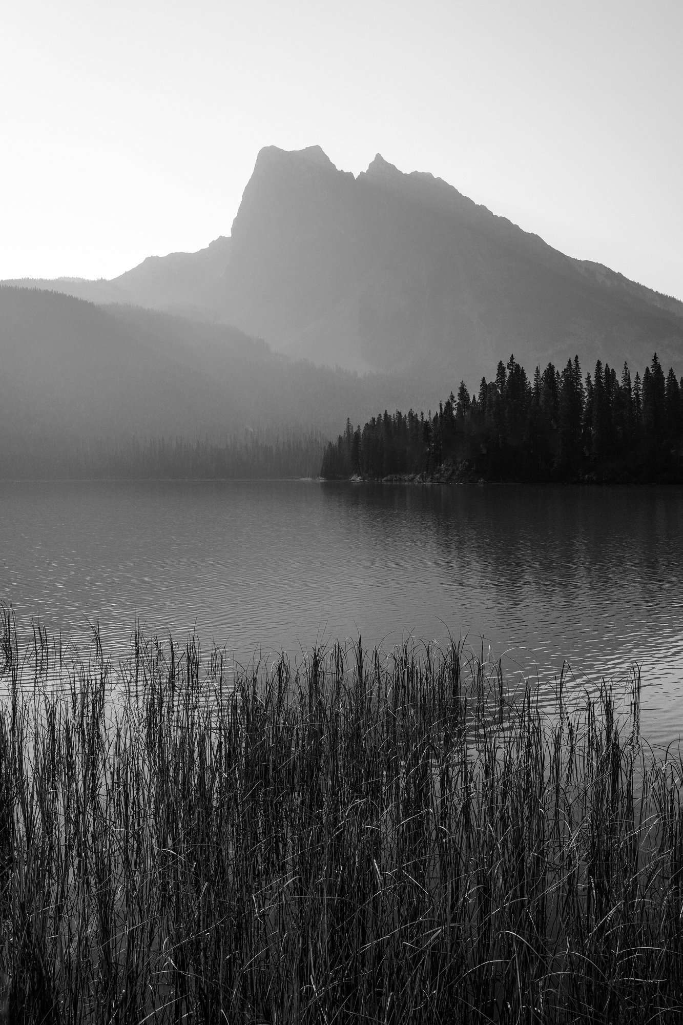 Black and white peak in soft haze above a calm lake, dark pines on the far shore and tall reeds in front.